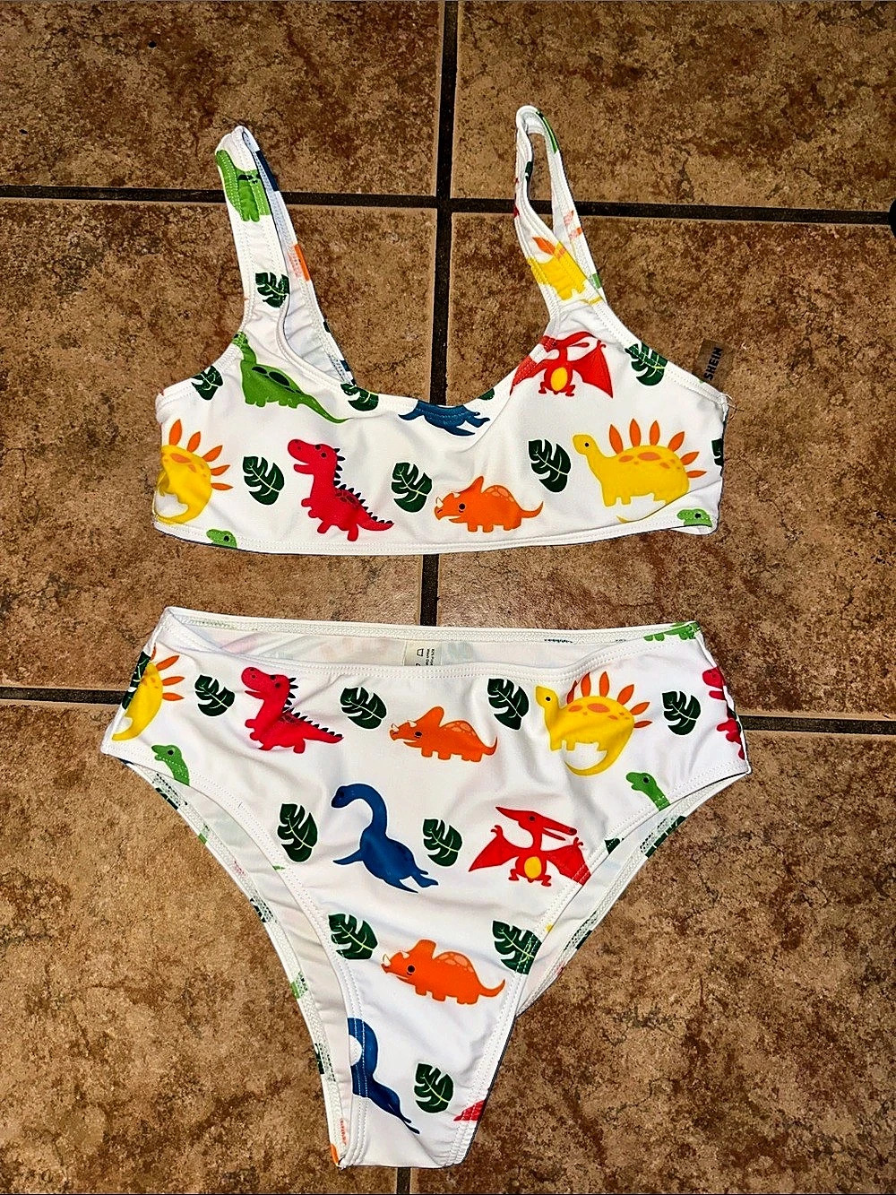 SHEIN Dinosaur Print High Waisted Bikini Set Small